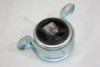 AUTOMEGA 3006840646 Engine Mounting